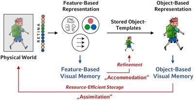 Real-World Objects Are Represented in Visual Long-Term Memory Both as Unbound Features and as Bound Objects